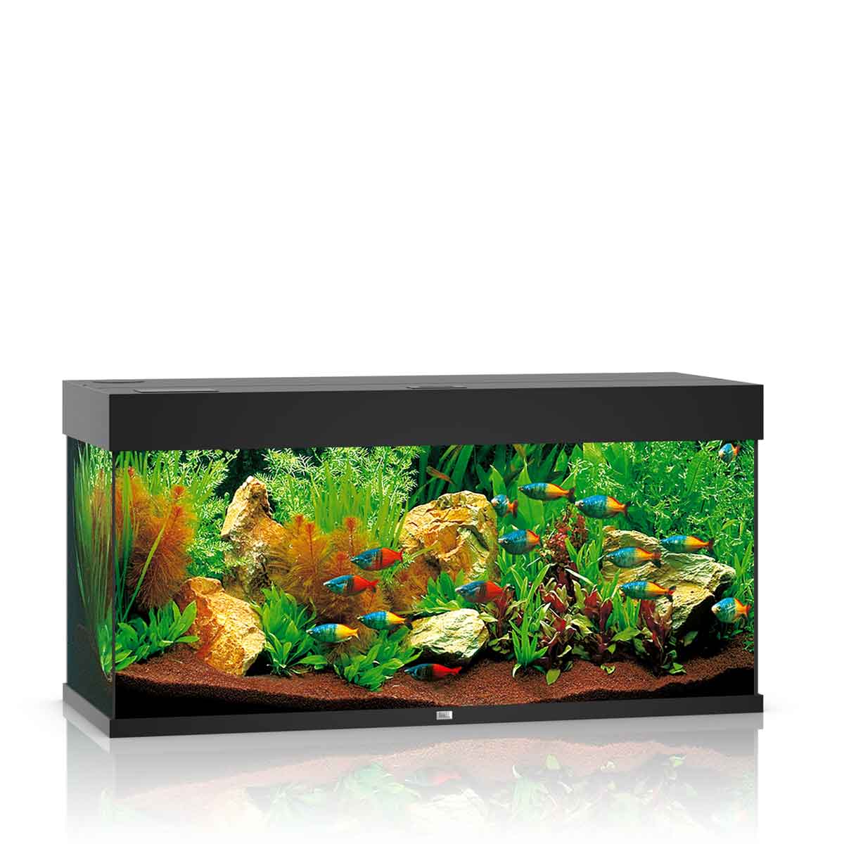 Acquario Juwel Rio 180 Led