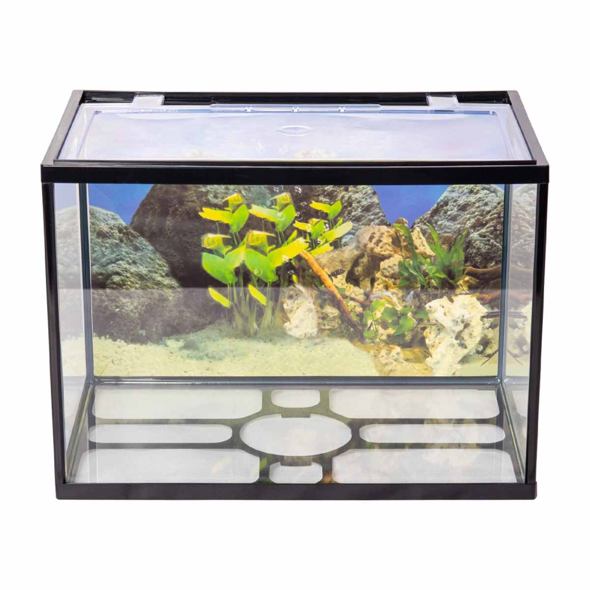 Aqpet One Mini Acquario in vetro