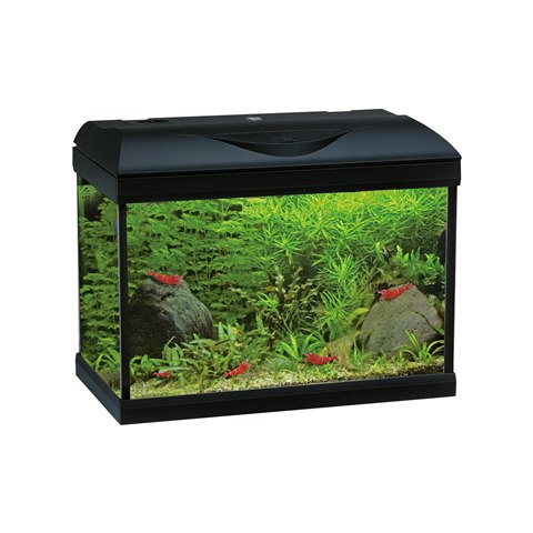 Acquario Amtra Basic Led