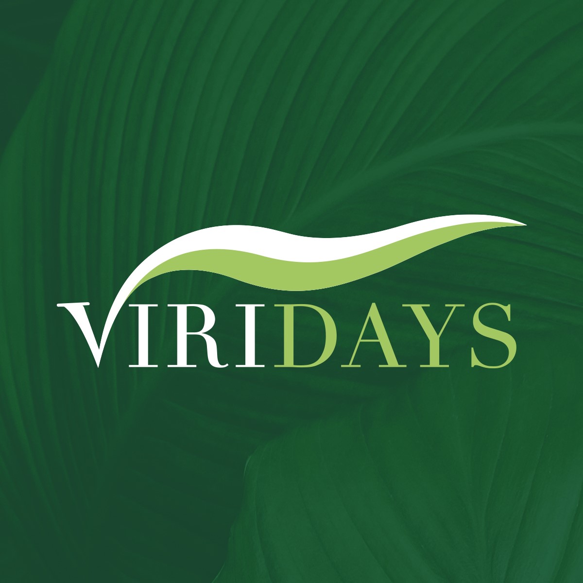 VIRIDAYS, i nuovi eventi Viridea