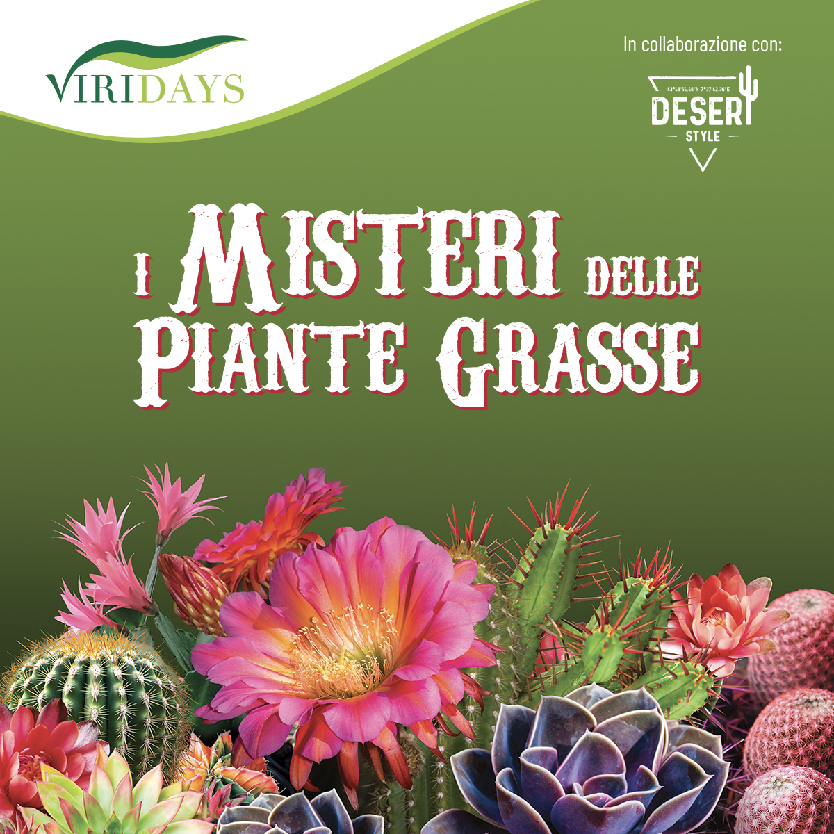 I misteri delle piante grasse