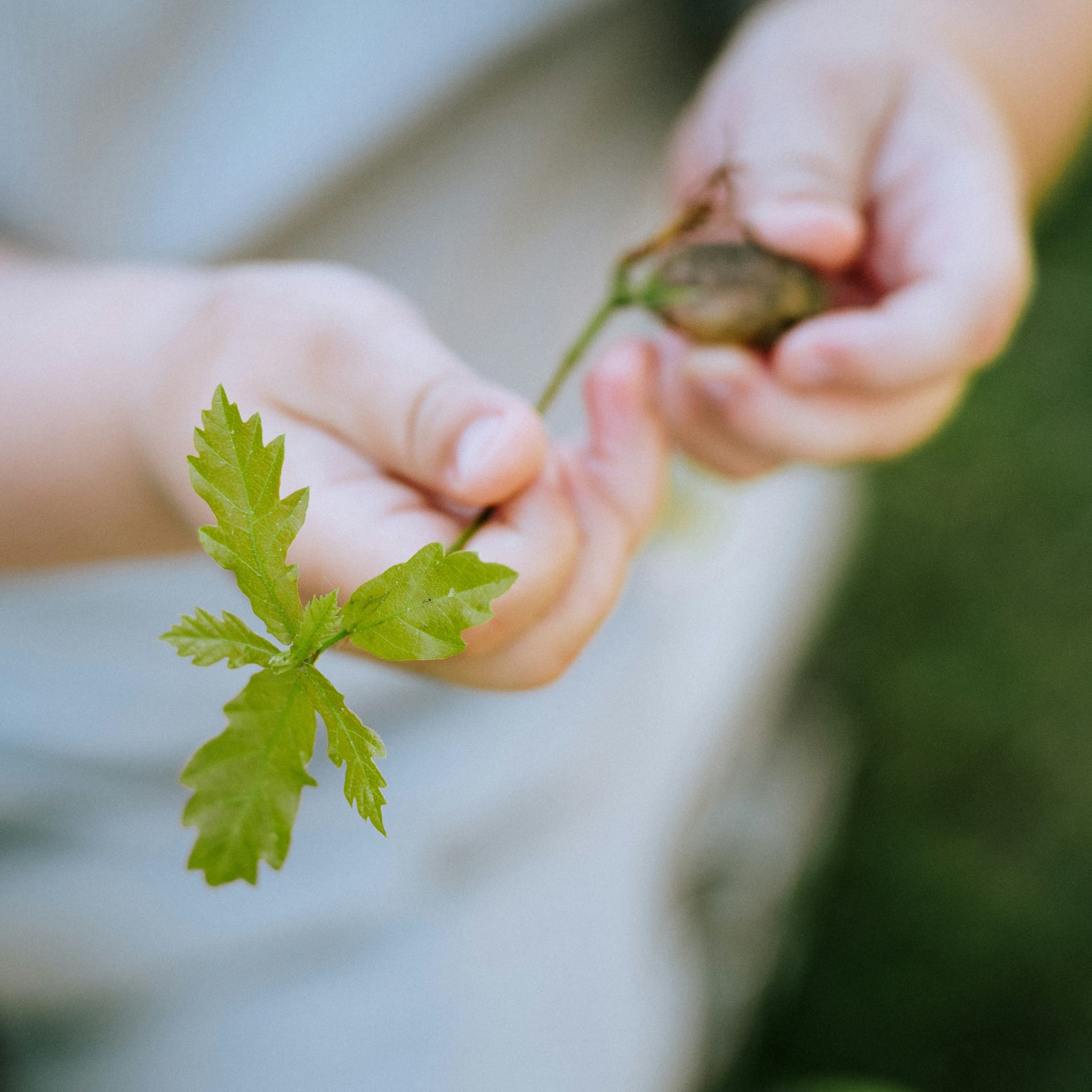 Da Viridea arrivano i Bio Lab, laboratori di natura per bambini